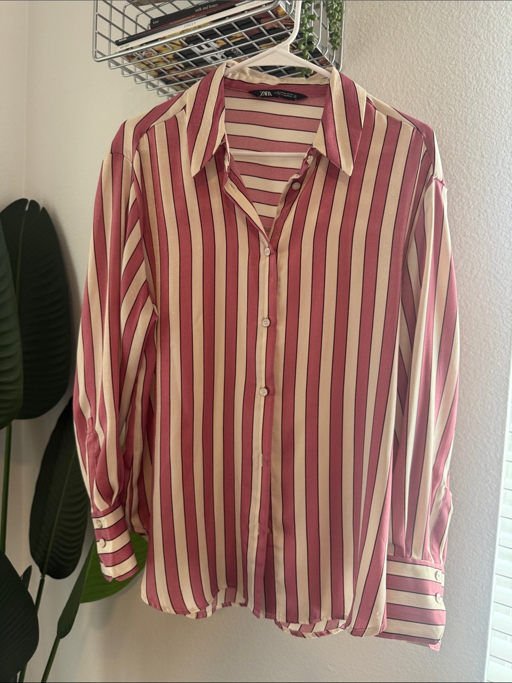 Zara Pink and Cream Vertical Stripe Button-Down Shirt